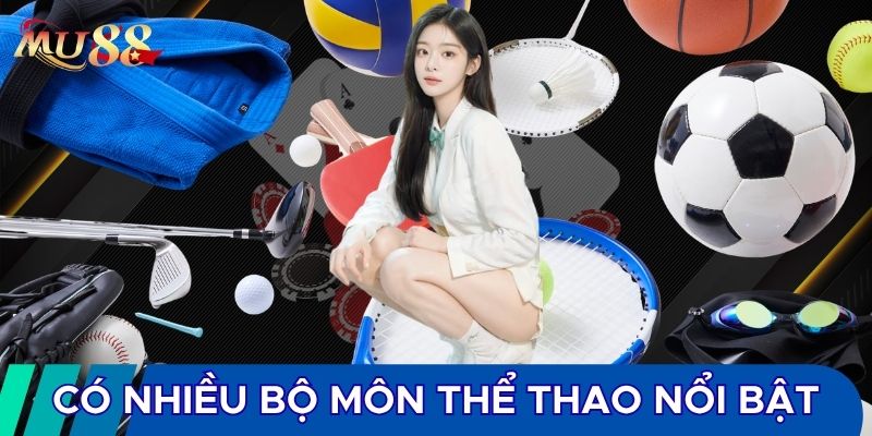 Có nhiều bộ môn thể thao nổi bật 